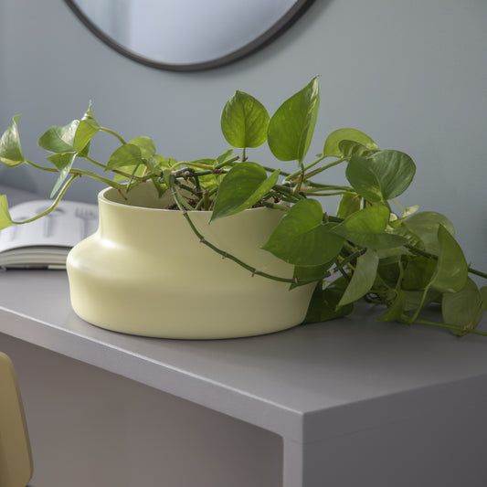 Dorotea Mellow Yellow Vase