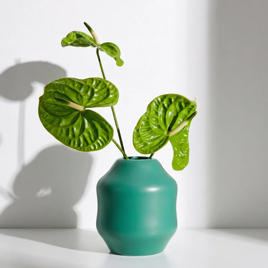 Dorotea Ceramic Green vase with a plant on a white surface