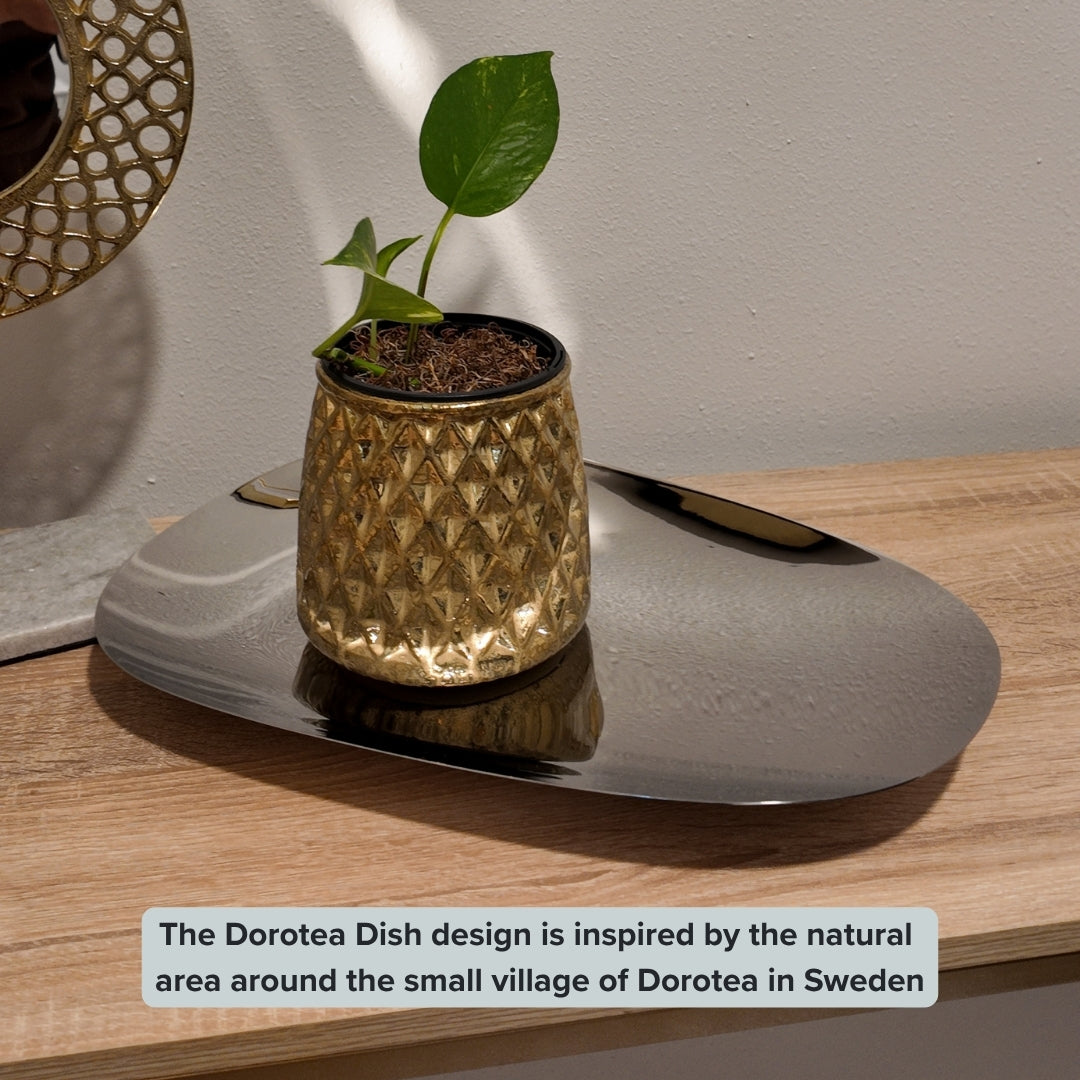 The Dorotea Home